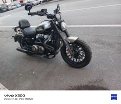 Benda Chinchilla 250 - photo 5