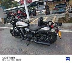 Benda Chinchilla 250 - photo 6
