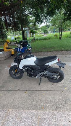 CFMOTO ST Baboon 125 cc - фото 3