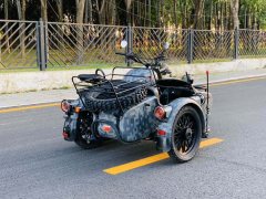 Changjiang CJ 650B - ფოტო 3