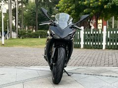 Kayo 250RR Thornbird - ფოტო 2