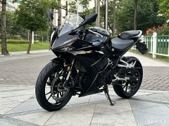Kayo 250RR Thornbird - ფოტო 3