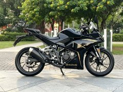 Kayo 250RR Thornbird - ფოტო 4