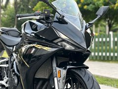 Kayo 250RR Thornbird - ფოტო 5