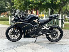 Kayo 250RR Thornbird - ფოტო 6