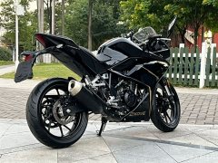 Kayo 250RR Thornbird - ფოტო 7