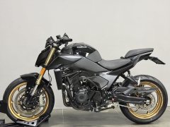 QJMOTOR Chaser 550 - ფოტო 5