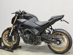 QJMOTOR Chaser 550 - ფოტო 6