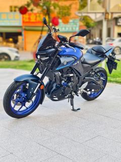 Yamaha MT-03 320 cc - ფოტო 3