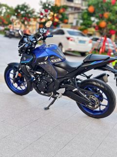 Yamaha MT-03 320 cc - ფოტო 9