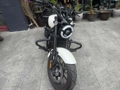 Cyclone AQS250 - ფოტო 2