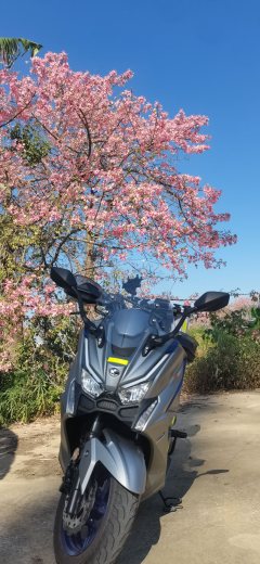 KYMCO Rowing S250 - photo 6
