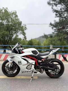 Kayo 450RR - фото 4