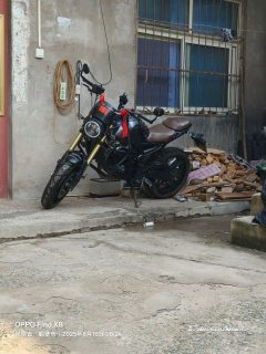 Voge 300AC - ფოტო 1