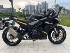 Voge RR525 500 cc - фото 6