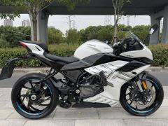 CFMOTO 250SR - ფოტო 2