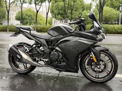 Voge 300RR - ფოტო 2
