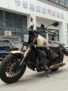 Cyclone RA401 400 cc - ფოტო 6