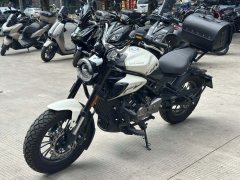 Cyclone PUNK 150 cc - ფოტო 3
