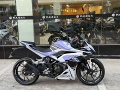 Kayo 250RR Thornbird - ფოტო 2