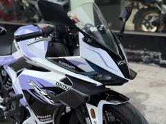 Kayo 250RR Thornbird - ფოტო 3