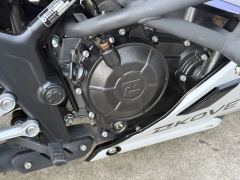 Kayo 250RR Thornbird - ფოტო 4