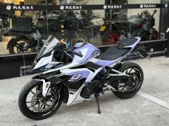 Kayo 250RR Thornbird - ფოტო 8