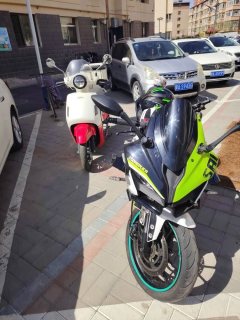 QJMOTOR SRK 250 - фото 2