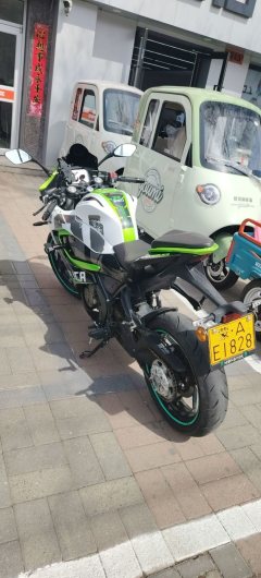 QJMOTOR SRK 250 - фото 4