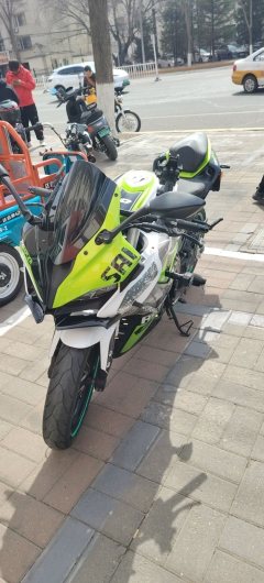QJMOTOR SRK 250 - фото 5