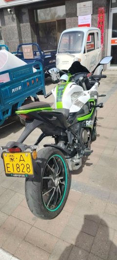 QJMOTOR SRK 250 - фото 6