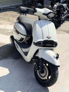 Weiduoliya Sixties 150Si - ფოტო 2