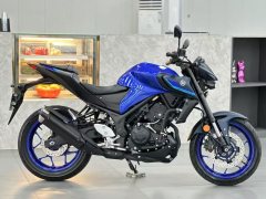 Yamaha MT-03 320 cc - ფოტო 5