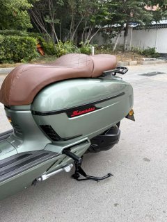 Weiduoliya Sixties 150Si - ფოტო 11