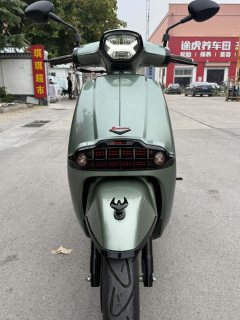 Weiduoliya Sixties 150Si - ფოტო 3