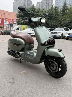 Weiduoliya Sixties 150Si - ფოტო 4