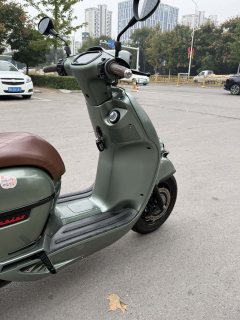 Weiduoliya Sixties 150Si - ფოტო 5