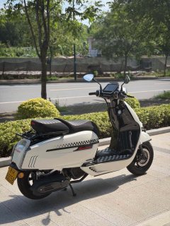 Weiduoliya Sixties 150Si - ფოტო 3
