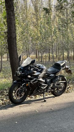 Haojue Suzuki GSX250R - ფოტო 4