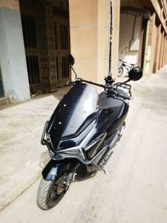 QJMotor Lightning Dog 150 - photo 3