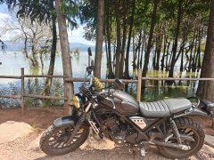 Honda CL300 - ფოტო 1