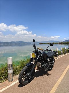Honda CL300 - ფოტო 2