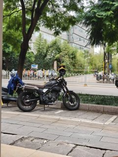 Honda CL300 - ფოტო 7
