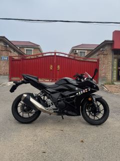 Haojue Suzuki GSX250R - ფოტო 4