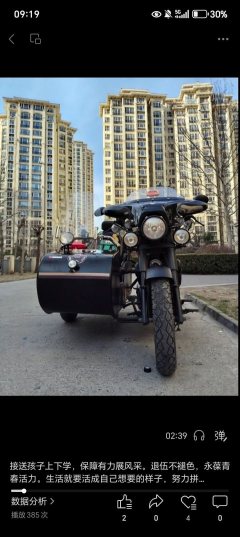 Hailing HL250B-D 226 cc - photo 3