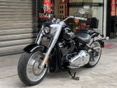 Harley-Davidson Fat Boy 1923 cc - ფოტო 10