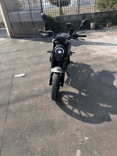 Benelli Leoncino 250 - ფოტო 1