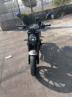 Benelli Leoncino 250 - ფოტო 3