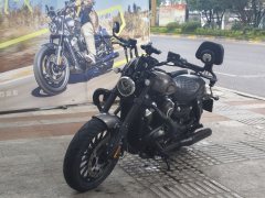 Benda Chinchilla 250 - photo 2
