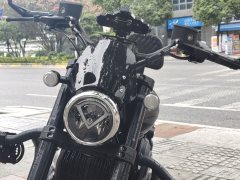 Benda Chinchilla 250 - photo 5